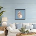 thumbnail image 3 of Stupell Industries Traditional Soft Sea Cowrie Shell Black Floating Frame Canvas Art, 25 x 25, by Julia Purinton, 3 of 7