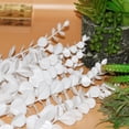 thumbnail image 4 of 72Pcs Artificial Eucalyptus Stems Black Eucalyptus Leaves for vase Black Artificial Flowers for Black Halloween Branches Decor Wedding Bouquet Centerpiece Floral Arrangement Home Decoration, 4 of 6