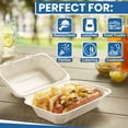 Biodegradable To Go Food Containers, Hinged Disposable Take Away Food
