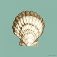 thumbnail image 3 of Meagher, Megan 20x20 Black Modern Framed Museum Art Print Titled - Shell on Aqua III, 3 of 5