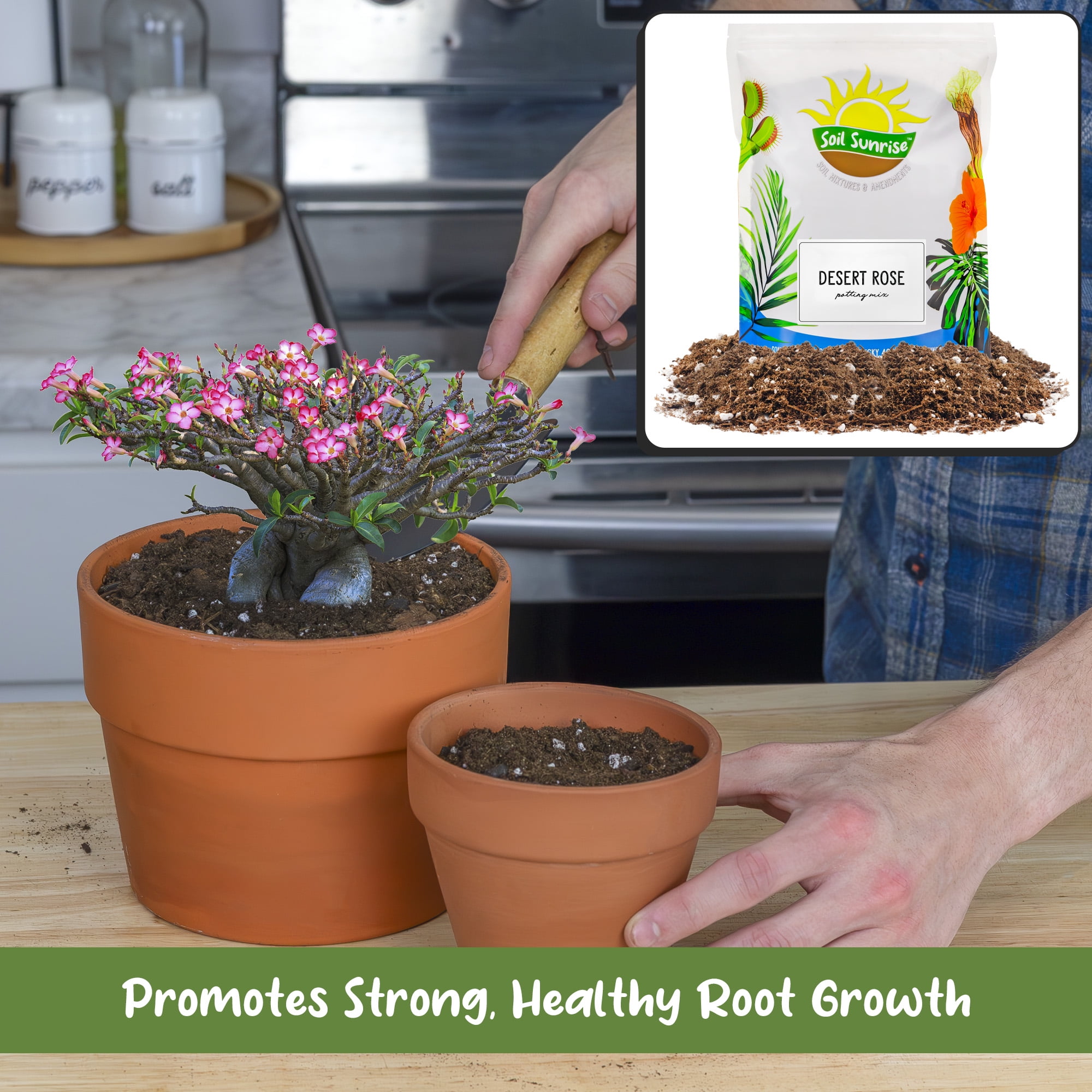 Desert Rose Potting Soil Mix (8 Quarts), Hand Blended Small Batch Soil Blend for Desert Rose Plant