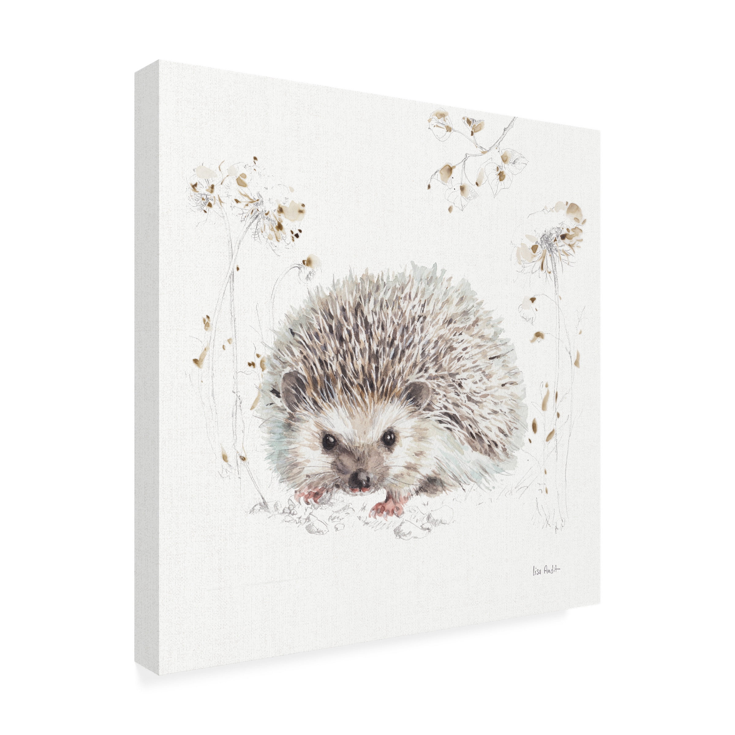 Trademark Fine Art 'Woodland Walk XII Hedgehog' Canvas Art by Lisa Audit