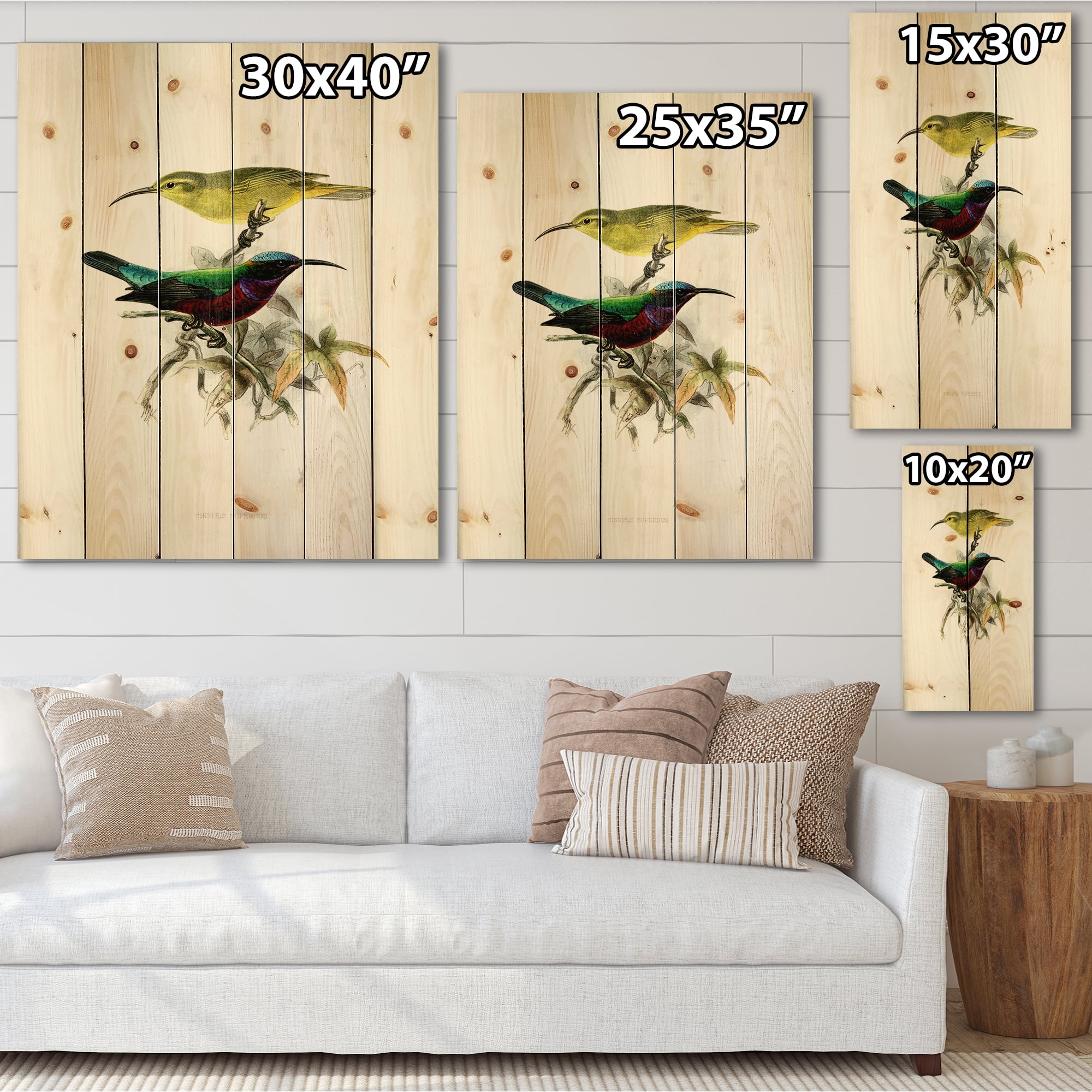 Designart 'Ancient Australian Birds XV' Traditional Print on Natural Pine Wood