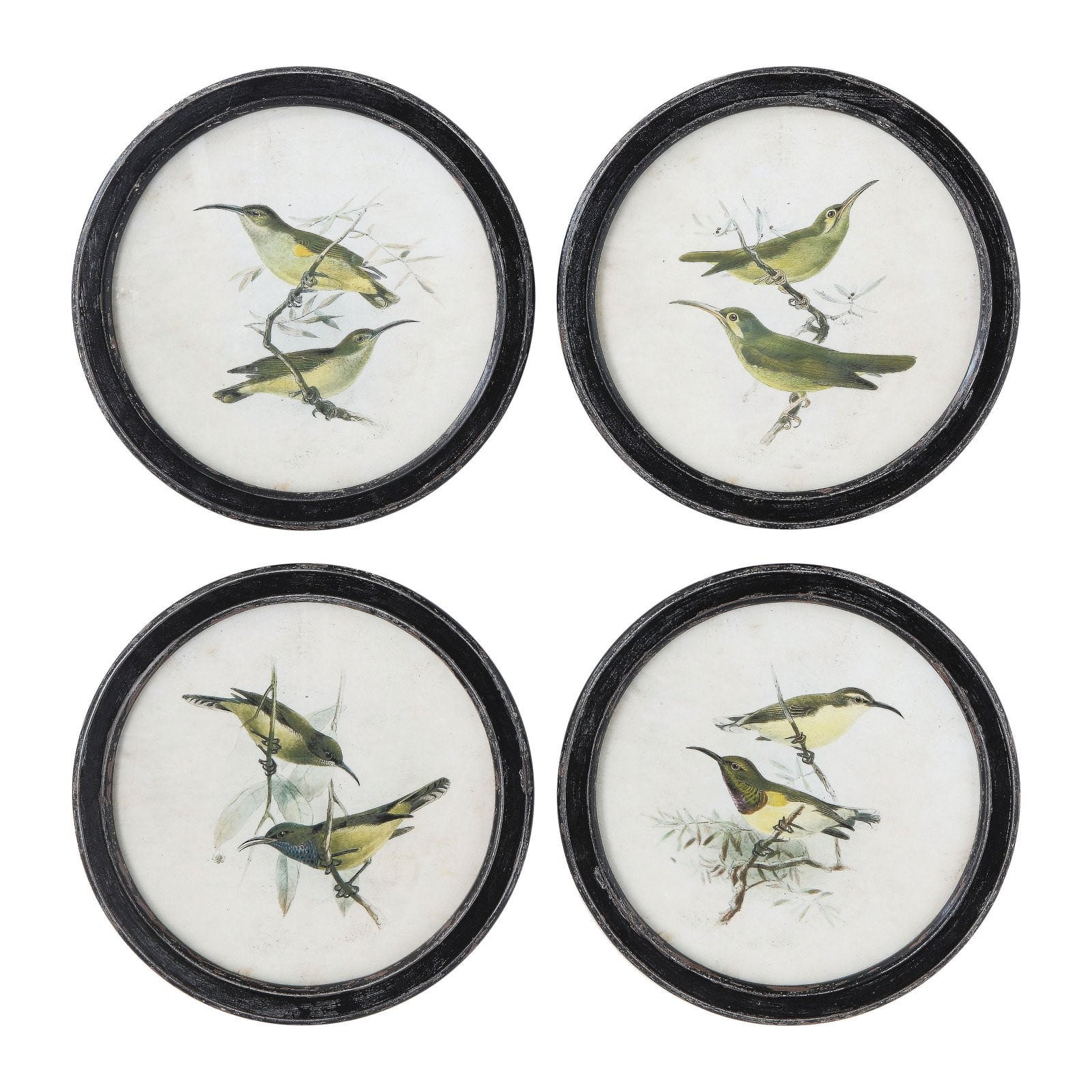 3R Studio Wall Art Round Frame Canvas Birds on Twigs Set of 4
