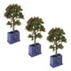 thumbnail image 5 of Árboles frutales para Casa de muñecas BuyWeek 3 piezas plantas en miniatura modelo de árbol frutal, 5 of 14