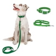 thumbnail image 1 of Dog Collar and Leash Set | BearBone Waterproof Dog Collar and Long Leash for Dogs | Versatile Dog Leashes for Small Dogs with Small Dog Collar (Green, Small), 1 of 3