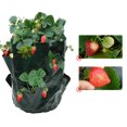 thumbnail image 4 of Naiovety Bolsa para cultivo de plantas, maceta para plantar flores, verduras, , múltiples bolsillos, maceta, contenedor de crecimiento, Jardín y Patio, 4 of 6