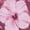 MAROON FLORAL LEAFS, variant on HAPPY BAY Men's Hawaiian Shirt Fashion Button Down Short Sleeves Holidays Aloha Party Casual Tops Summer Beaches Shirts for Men S Blue Floral