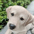 thumbnail image 3 of Lying Yellow Labrador Puppy Polyresin Garden Statue, 3 of 5