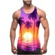 thumbnail image 1 of Camiseta de tirantes de cuello redondo para hombre, sin color, con estampado degradado, cuello redondo, tirantes finos, espalda con fugas, estilo informal, deportiva, para hombre, 1 of 4
