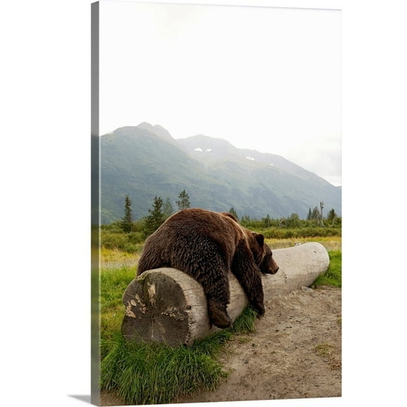 Great BIG Canvas Photography