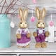 thumbnail image 4 of 8x Conejo de Pascua Macarena de paja para decoración de fotos al aire libre, 4 of 5