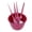 Wine Red, variant on Riousery Professional Hair Dye Coloring Kit 5-Piece Wine Red DIY Bleaching Tools Set with Mixing Bowl Brushes Comb for Home Salon Use (11.02 inches / 28 cm) Color Application