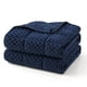 thumbnail image 1 of Manta con Peso Topcee 5.5 kg 122x183 cm Azul con Lunares Minky, 1 of 7
