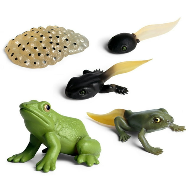 Modelo de simulación de animales para niños, Mini Animal, gallo, hormiga, Rana, Tortuga, Mosquito, ciclo de crecimiento, muñecos de acción de PVC, juguete para niños
