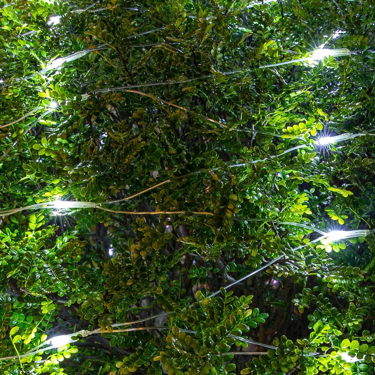 Bibana 200 LED Christmas Net Lights, 6.6ft x 9.8ft Outdoor Mesh Lights with 8 Modes for Garden Bushes & Indoor Party Decor - White