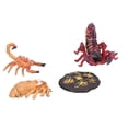 thumbnail image 3 of Juguetes Modelo de Ciencias Biológicas, 4 Etapas Interesante Modelo de Escorpión Juguete plástico Realista para Las Ayudas de Enseñanza Escolar para El Juguete Cognitivo infantil, 3 of 7