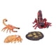 thumbnail image 5 of Kit de ciclo de vida de escorpión, juguetes de ciclo de vida de escorpión, etapas de estilo de vida, juguetes modelo de etapa de vida de escorpión, durabilidad mejorada, 5 of 9