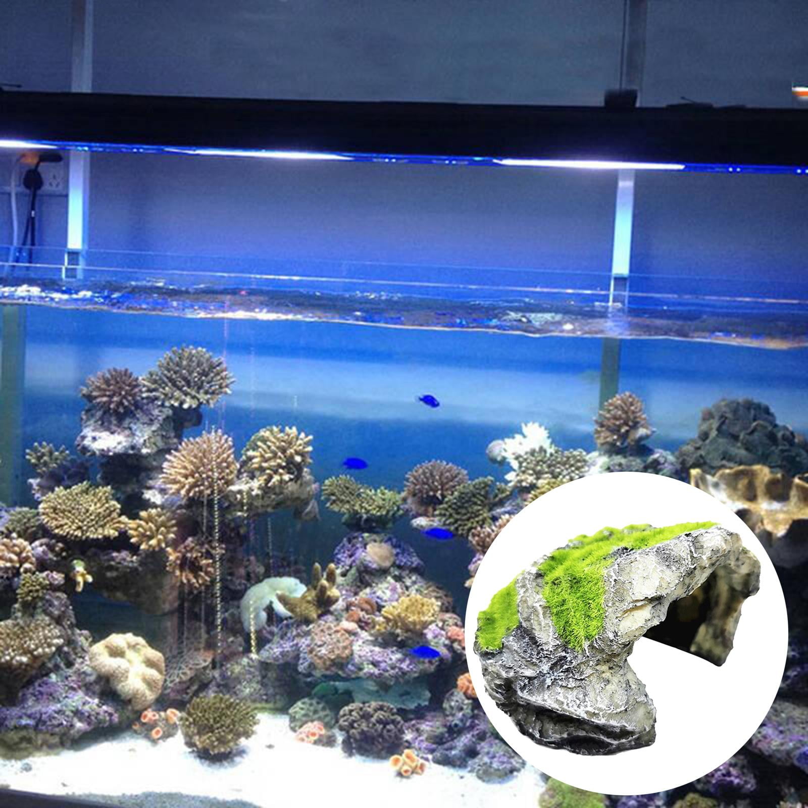 Decoración Acuario: Adornos Originales Para Tu Acuario O Pecera