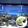 thumbnail image 3 of DOLITY Simuler Rocher Pierre Reptile Cachette Grotte Serpent Tortue Cache Repos Tank g, 3 of 9