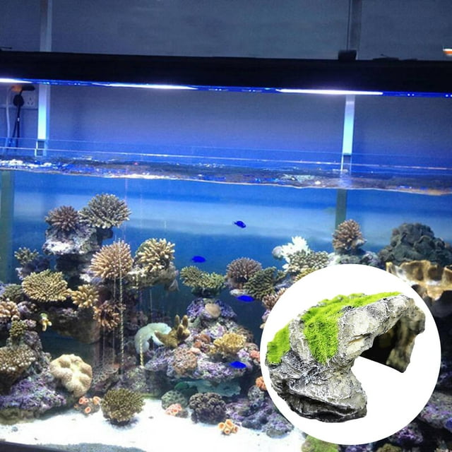 BELOVING Simuler Rocher Pierre Reptile Cachette Grotte Serpent Tortue Cache Repos Tank g