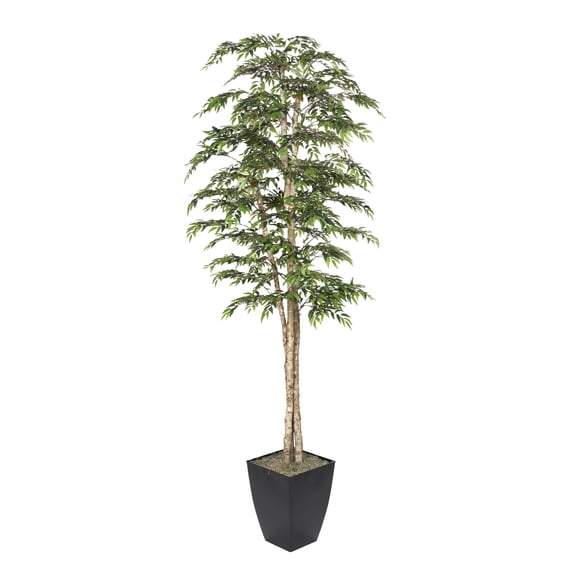 D&W Silks 8' Ruscus Tree in Black Metal Planter