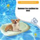 thumbnail image 4 of Fiudx Ofertas Flash Del Día Colchoneta Fresca De Verano, Colchoneta Para Dormir, Absorción De Agua, Materiales Superiores E Inferiores, Seguro, Fácil De Transportar, Mantiene Fresco Para Mascotas, Ni, 4 of 7