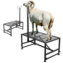 Livestock Grooming Stand, Adjustable Headpiece, Black Color, Goat Holding Stand, Iron Farm Animal Stand, For Dairy Milking, Hoof Trimming, Barn