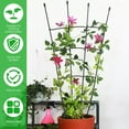 thumbnail image 1 of 47.24inch Plant Trellis Rustproof Plant Growing Support Grid Metal Potted Plant Climbing Support Frame DIY Garden Plant, 1 of 9