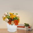thumbnail image 2 of 5 Sets Swirl Pattern Small Flowerpot Pots Orchid Flowers Holder Nursery Decorative Garden, 2 of 6