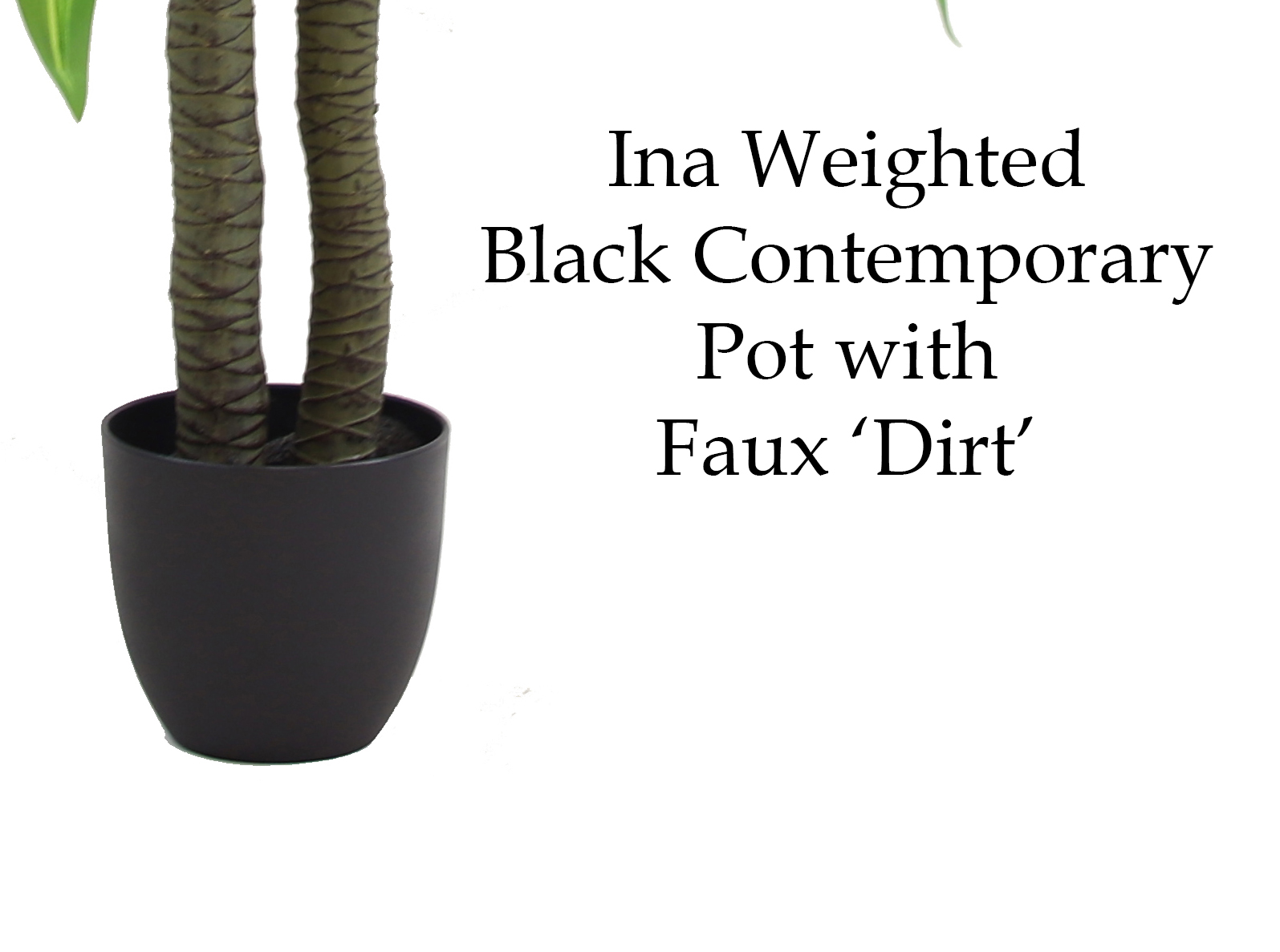 The Mod Greenhouse 49" Artificial Variegated Dracaena Tree in a 6.5" Black Matte Contemporary Pot (26 Leaf)