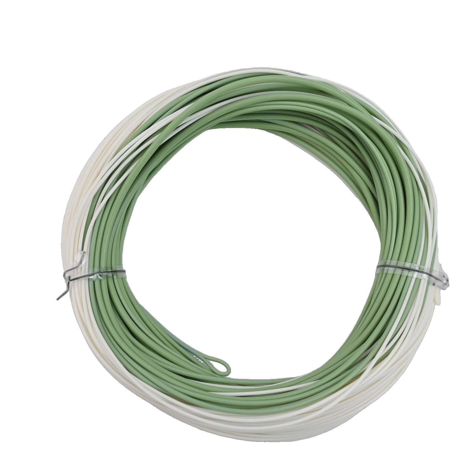Fly Fishing Sea Main Line Outbound Short Fly Saltwater Fishing Line 100 Feet WF6F-WF10F Green/Cream