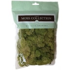 Preserved Moss, 108.5 cu in