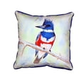 thumbnail image 1 of Betsy Drake HJ363 Grand Oreiller Intérieur et Extérieur Kingfisher, 1 of 4