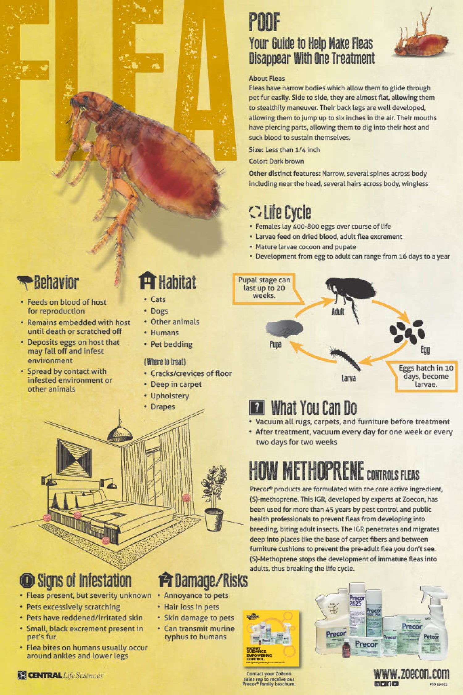 Precor 2000 Plus Premise Spray - Kills Fleas, Ticks, Roaches & Ants - 16 oz Aerosol Can by Zoecon