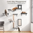 thumbnail image 4 of Cat Wall Shelves Perches Set, DOMIPET 5 in 1 Wall Furniture, Sleeping Playing Lounging Climbing Wall-mounted Cat Tree House for Multiple Cats, 4 of 9