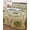 Brown, variant on Twin XL Quilt Bedding Set, Palm Trees Reversible Summer Quilt 3 Pieces, Green Summer Botanical Watercolor Lightweight Bedspreads Coverlets with 2 Pillow Shams for All Seasons