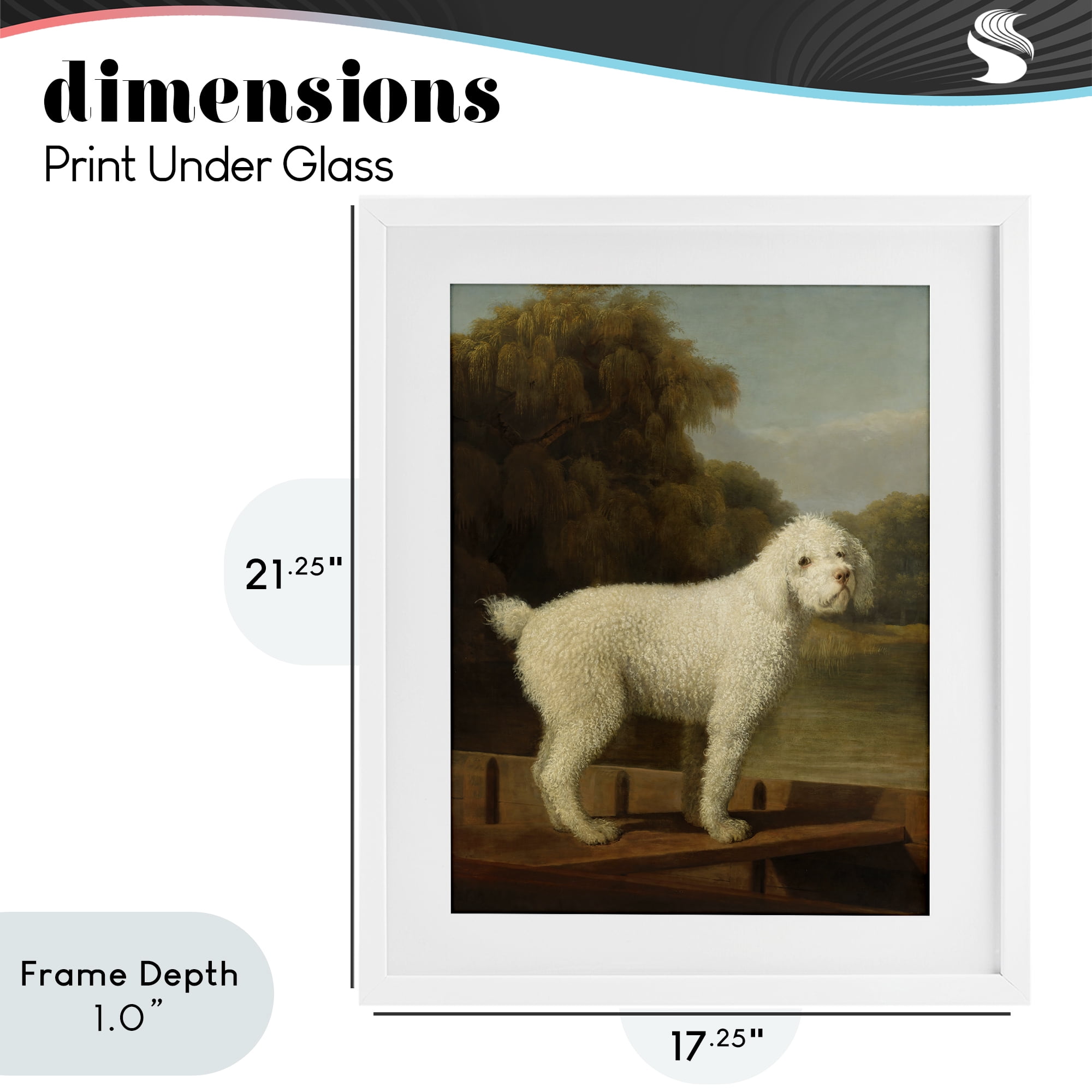 Stupell Industries White Poodle in a Punt White Framed Print Under Glass, design by Tina LeCour
