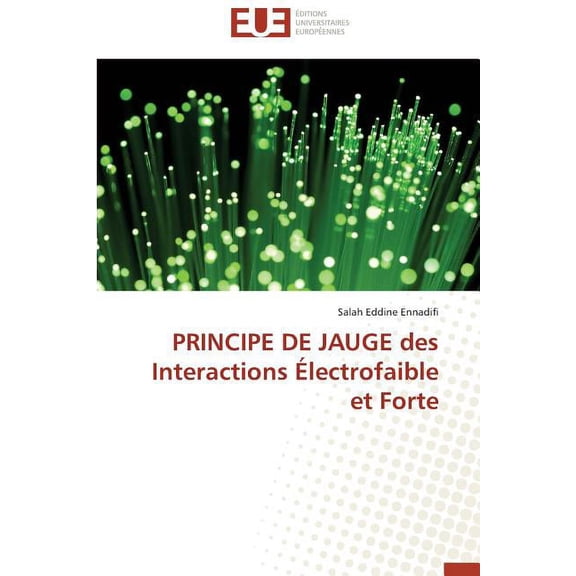Omn.Univ.Europ.: Principe de Jauge Des Interactions Électrofaible Et Forte (Paperback)