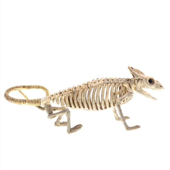 Janrevotw Halloween Party Decorations Animal Bones Skeleton Skeleton Model Piranha Lizard Spider Rat Bat Scorpion Skeleton Animal Skeleton