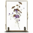 thumbnail image 1 of Vintage Floating Glass Frame, Tabletop Floating Glass Frame for Dry Flowers, Double Glass Pressed Flower Display Frame with Metal Base, Shelf Photo Frame for Home Office, 1 of 6