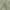 Light Green, variant on OVZME Bethany Faux Linen White Curtains 84 Inches Long 2 Panels Set, Solid Soft Airy Light Filtering Slub Textured Farmhouse Window Treatments with Rod Pocket for Living Room Bedroom, 40Wx84L Inch