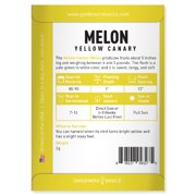 Yellow Canary Melon Seeds