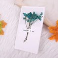 thumbnail image 1 of Mini tarjeta de felicitación de flor Real creativa, tarjeta de Día de San Valentín, tarjeta de bendición de Acción de Gracias, tarjeta de cumpleaños de Navidad, tarjeta de mensaje, 1 of 4