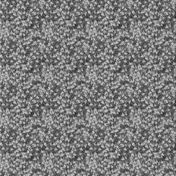 Ahgly Company Machine Washable Indoor Square Transitional Dark Gray Area Rugs, 5' Square