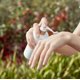 thumbnail image 2 of Loción de manos Jurlique Rose Scented, 2 of 4