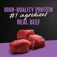thumbnail image 6 of Cesar Classic Loaf in Sauce Wet Dog Food Filet Mignon Flavor, 3.5 oz. Easy Peel Trays, 24 Count, 6 of 15