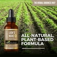 thumbnail image 3 of Lion’s Mane Mushroom Extract 1fl.oz, Lion Mane Drop, Nootropic Brain & Focus Supplements, Cognitive Function - Herbal Goodness, 3 of 6