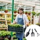 thumbnail image 1 of Juego de herramientas de mano para jardín | Mini pala de rastrillo con llana de acero inoxidable | Bonsái portátil Suculento Terrario Herramientas para plantar hierbas | Paquete de 3 | Negro | 24cm, 1 of 8