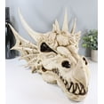 thumbnail image 7 of Ebros Large Elder Dragon Skull Statue Legendary Erathia Fossil Skeleton 18"L Figurine, 7 of 7